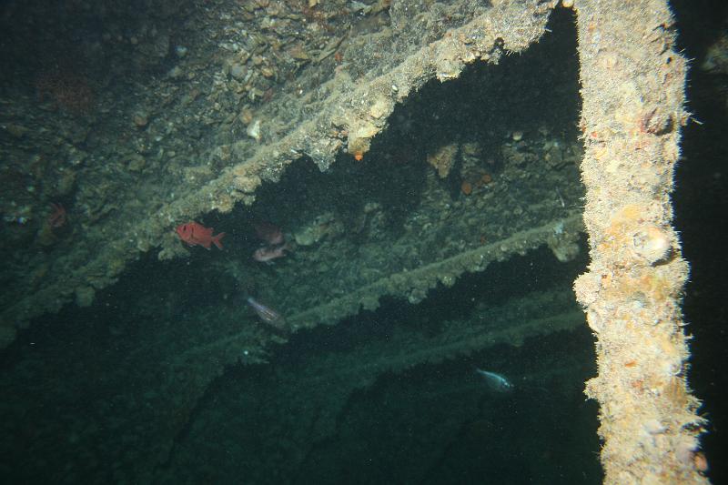 07 EG-03 074.JPG